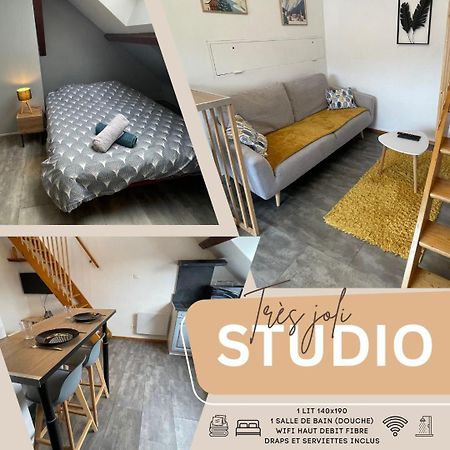 Superbe Studio A Proximite Du Centre-Ville Saint-Die-des-Vosges Eksteriør bilde